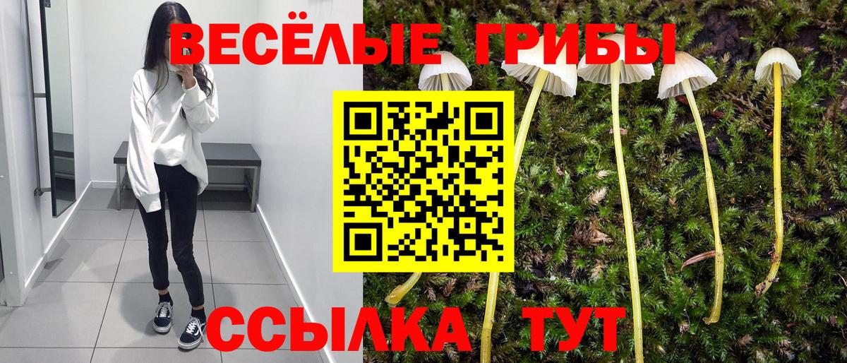 Псилоцибиновые грибы Magic Shrooms Фролово